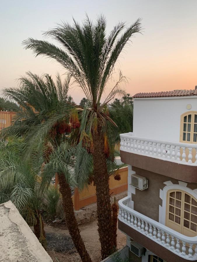 Moon House Of Luxor Apartment Екстериор снимка
