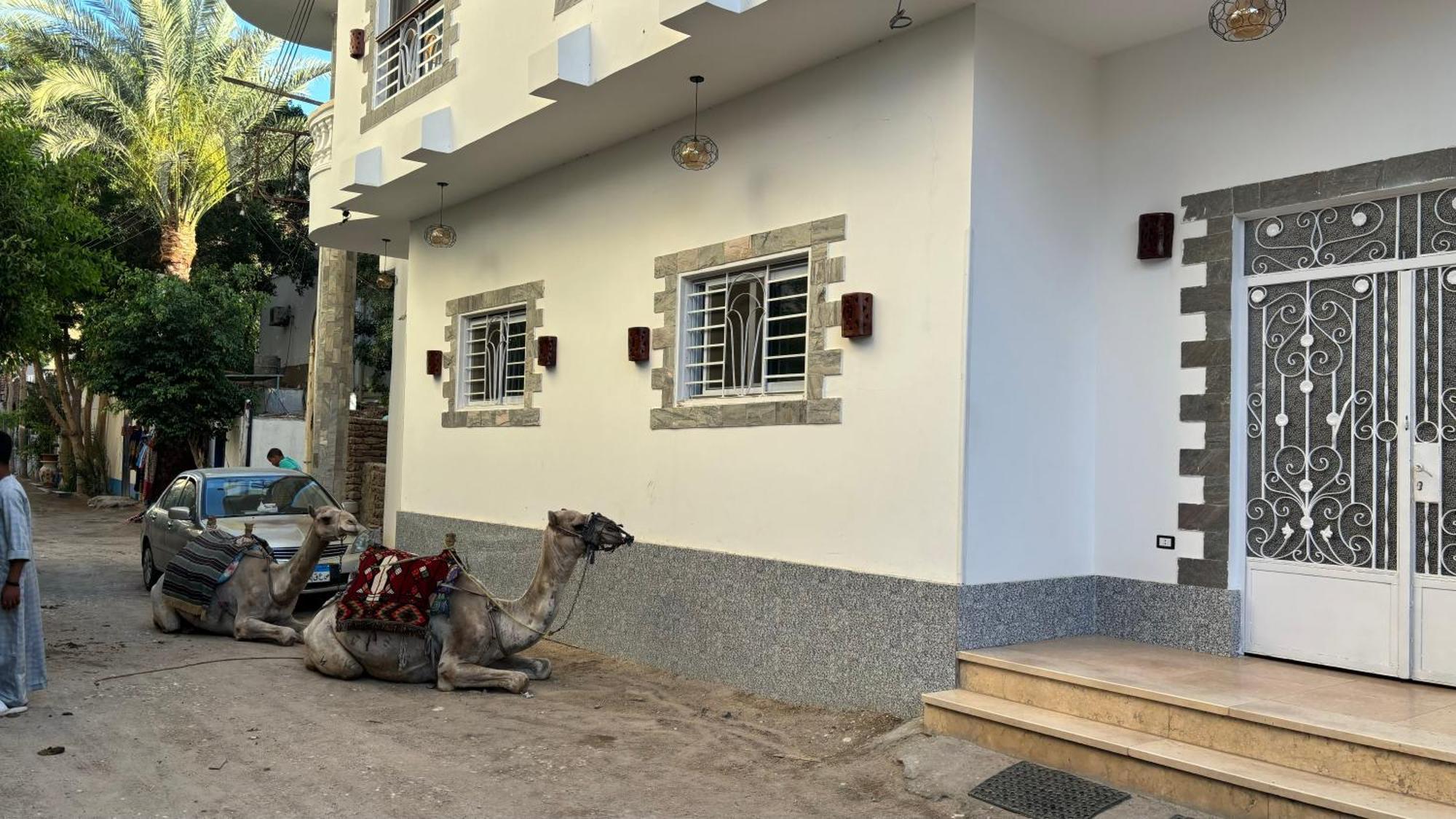 Moon House Of Luxor Apartment Екстериор снимка